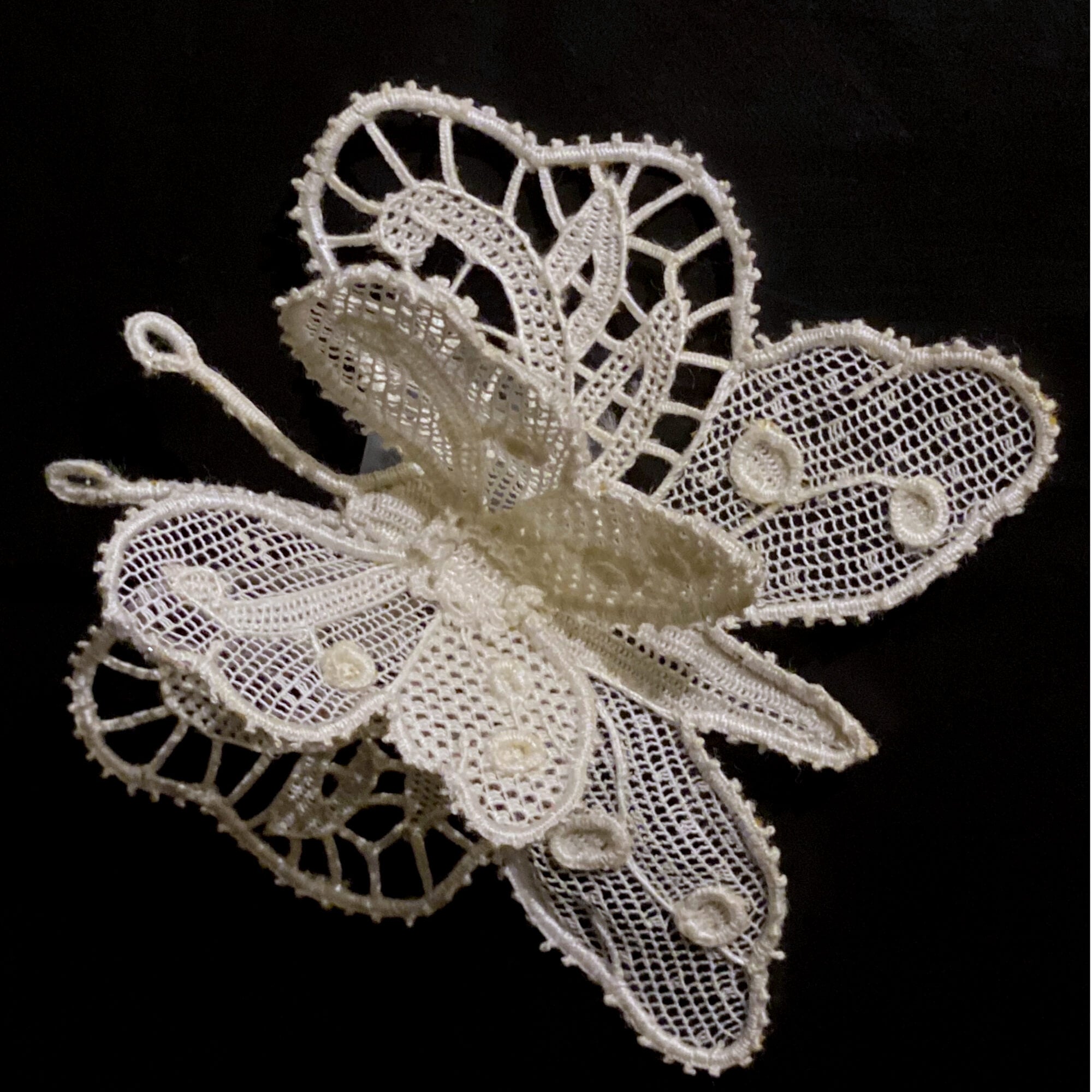 BUTTERFLY BURANO LACE – Martina Vidal Venezia