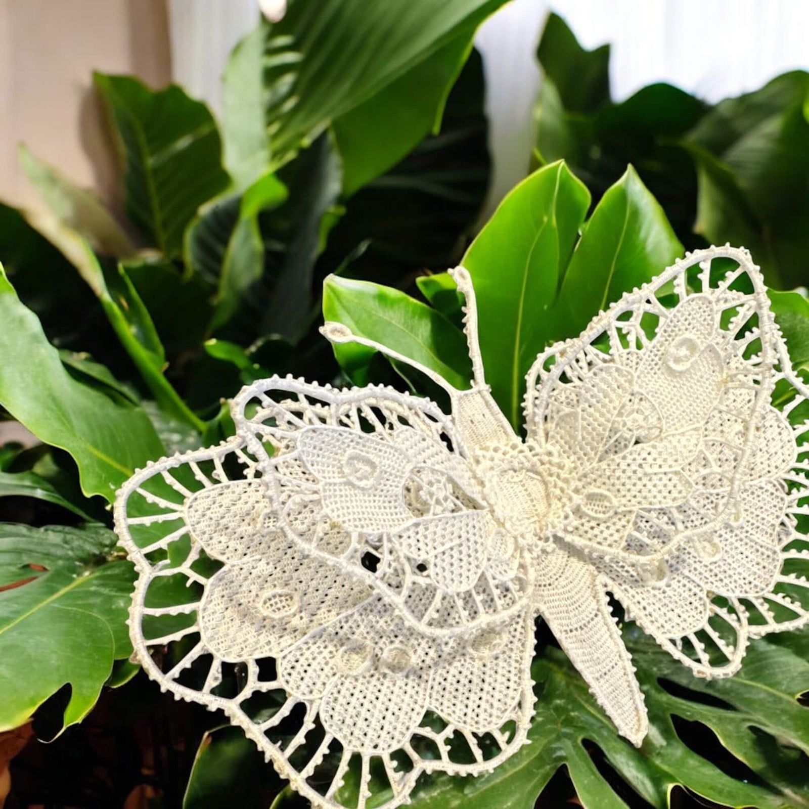BUTTERFLY BURANO LACE – Martina Vidal Venezia